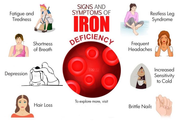 role-of-iron-in-our-body-to-boost-energy-immunity-brain-function